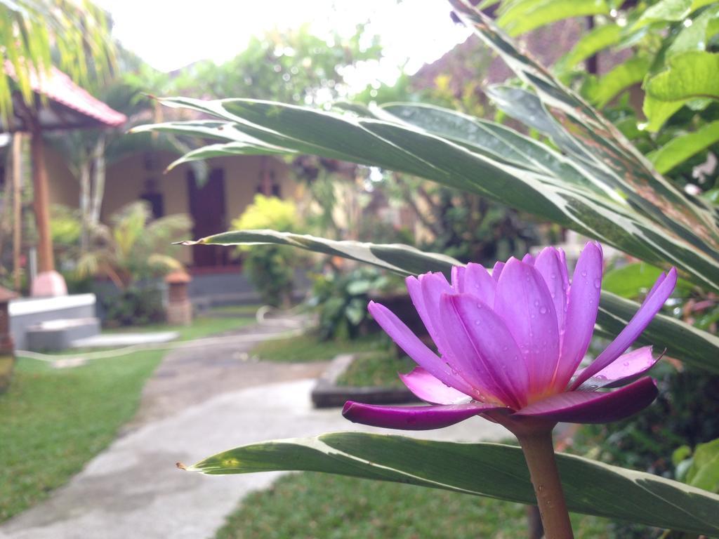Dimuwa Ubud Phòng bức ảnh