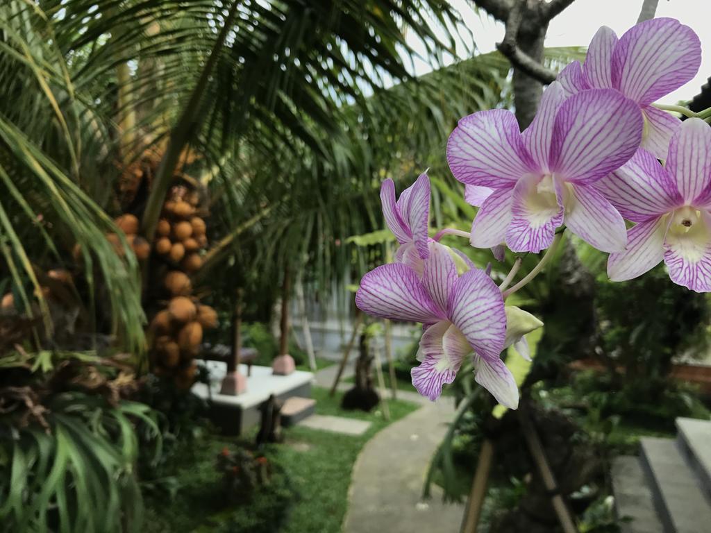 Dimuwa Ubud Ngoại thất bức ảnh