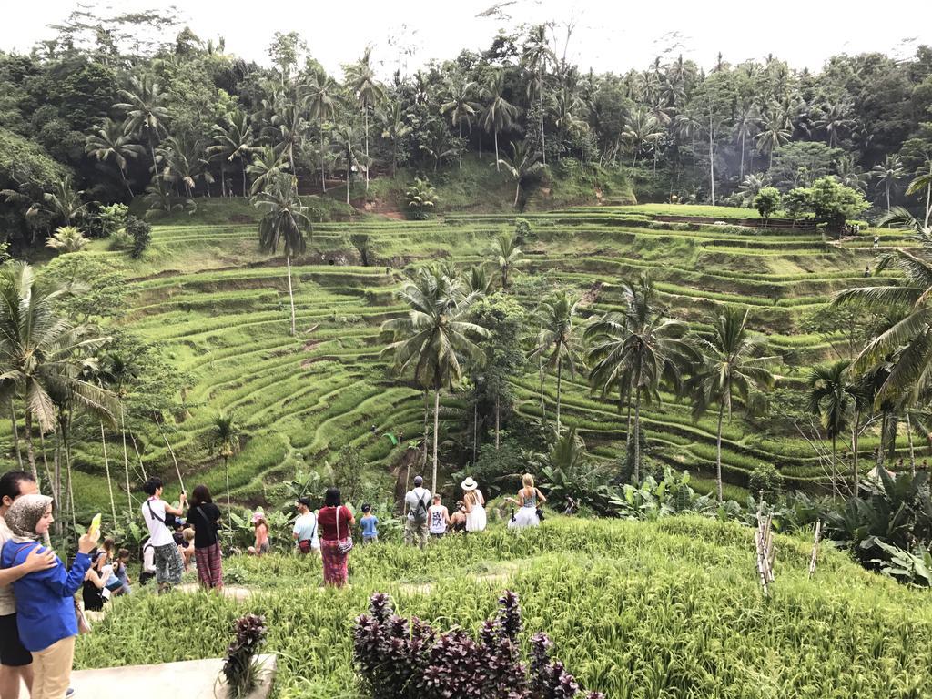 Dimuwa Ubud Ngoại thất bức ảnh